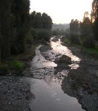 Best offers for Villa María Coin